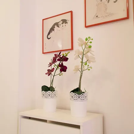 Apartment Maison Delle Tartane Lido di Ostia